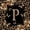 Brown Black P, variant on Catabedysis Cheetah ABC Print A Zipper Twin Comforter Sets with Fitted Sheet and 2 Pillowcases,Personalized Monogram Gifts Zipper Bedding Set For Girls,Black Reversible,4-Piece