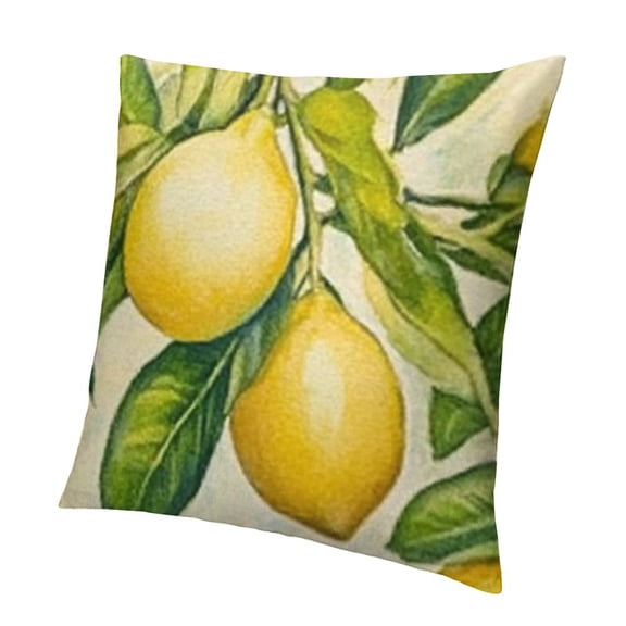 Fruit Pillow Cover Home Decorative