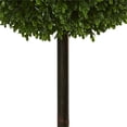 thumbnail image 3 of Nearly Natural 5494 3,5 Pi. Arbre Topiaire Artificiel à Double Boule en Bois de Buis Résistant aux UV, 3 of 3