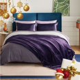thumbnail image 2 of HTOOQ Sherpa Fleece Blanket, Queen Size, Purple, Microfiber, Reversible, 9HTOOQ x 9HTOOQ Inches, Soft and Warm, 2 of 7