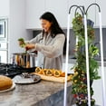 thumbnail image 6 of Hydroponic Growing Unit, Perfect for Fruits & Vegetables, Built-in Grow Light, Simple Setup, Effortless Upkeep, 6 of 6