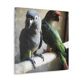 thumbnail image 2 of Senegal Parrot Still Life - Canvas, 2 of 10