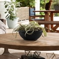 thumbnail image 5 of Bloem Terra 14" Round Plastic Planter Bowl - Shallow Indoor/Outdoor Garden Pot for Cacti, Succulents, Herbs, Moss, Black, 2-Pack, 5 of 8