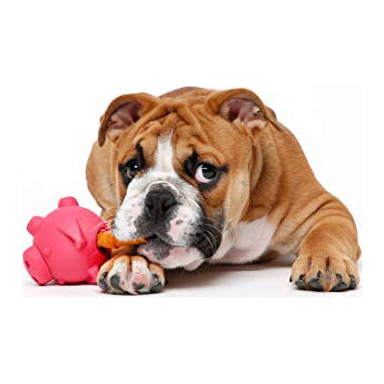 Hartz Tuff Stuff Treat Hogging Piglet Dispenser photo 2