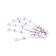 thumbnail image 5 of GROFRY Punk Women Skeleton Claw Zombie Hand Hair Clip Hairpin Bobby Pin Halloween Decor, 5 of 6