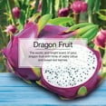thumbnail image 3 of LITTLE TREES air freshener Dragon Fruit 3-Pack, 3 of 8