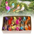 thumbnail image 2 of HCTSHG 12 Pcs Artificial Birds Fake Birds Figure Christmas Bird Ornaments for Tree Feathered for Halloween Craft Jungle Garden Home Ornament Decoration, Assorted Colors, 2 of 7