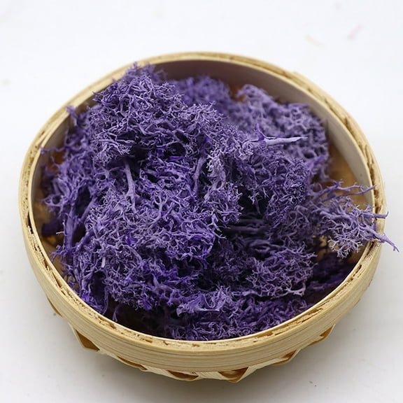 VINOIC Preserved Moss Decor, Natural Look for Potted Plants, Perfect for Garden Decoration and Wedding Crafts, Immortal Floral Background for Artificial Displays