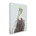 thumbnail image 4 of Stupell Industries Preening Pelican Photography Animals & Insects Painting Gallery Wrapped Canvas Art Print Wall Art, 16 x 20, 4 of 8
