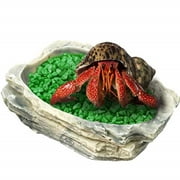 SunGrow Hermit Crab Feeding Bowl, 3.5x3 Inches, Keeps Crabitat Clear, Durable and Sturdy, Attractive Multifunctional Decor, Serve as Climbing Toy or Drinking Bowl, Swimming Pool and More, 1 Piece