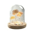 thumbnail image 2 of Xihbxyly Lámpara decorativa Luz de Noche Retro Bombilla Led para Interior exterior, 2 of 7