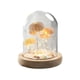 thumbnail image 2 of Xihbxyly Lámpara decorativa Luz de Noche Retro Bombilla Led para Interior exterior, 2 of 7