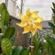 thumbnail image 5 of Molinos de viento de jardín reflectantes con estacas | Molinetes de prevención de pájaros para patio, patio, huerto | Spinner de decoración al aire libre | Plástico multicolor | Ahuyentar a los, 5 of 5