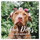 thumbnail image 1 of Calendario de pared Chambom 2025 con forma de perro divertido, 18 meses, con días festivos, 1 of 3