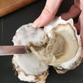 thumbnail image 3 of 2pcs Oyster Shucker Seafood Sheller Non-slip Handle Scallop Opening Tools, 3 of 9
