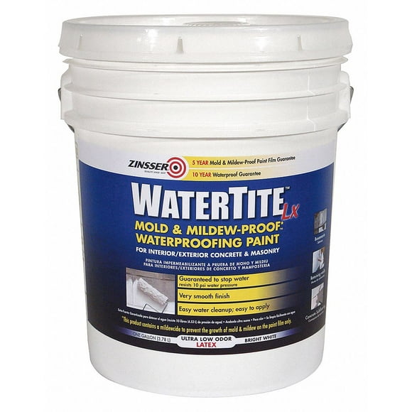 Zinsser Mold Killing Paint