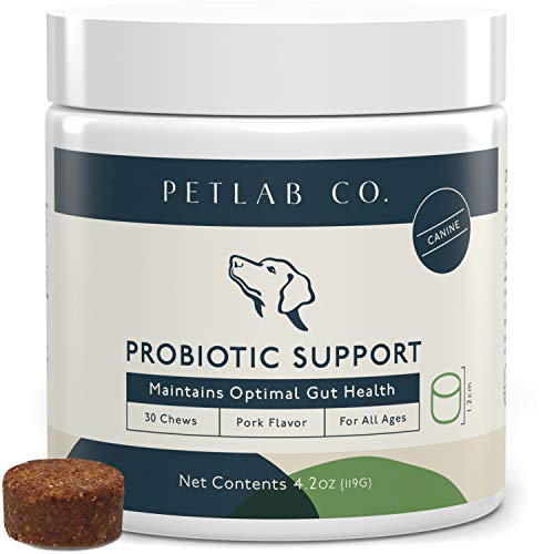 Petlab Co. Dog Probiotic Chewable Probiotic with 8 Strains of