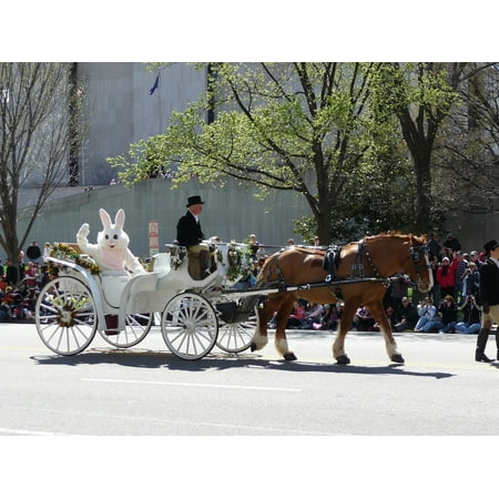 Parade Bunny - Canvas Print Parade Horse Easter Bunny Carriage Stretched Canvas 10 x 14