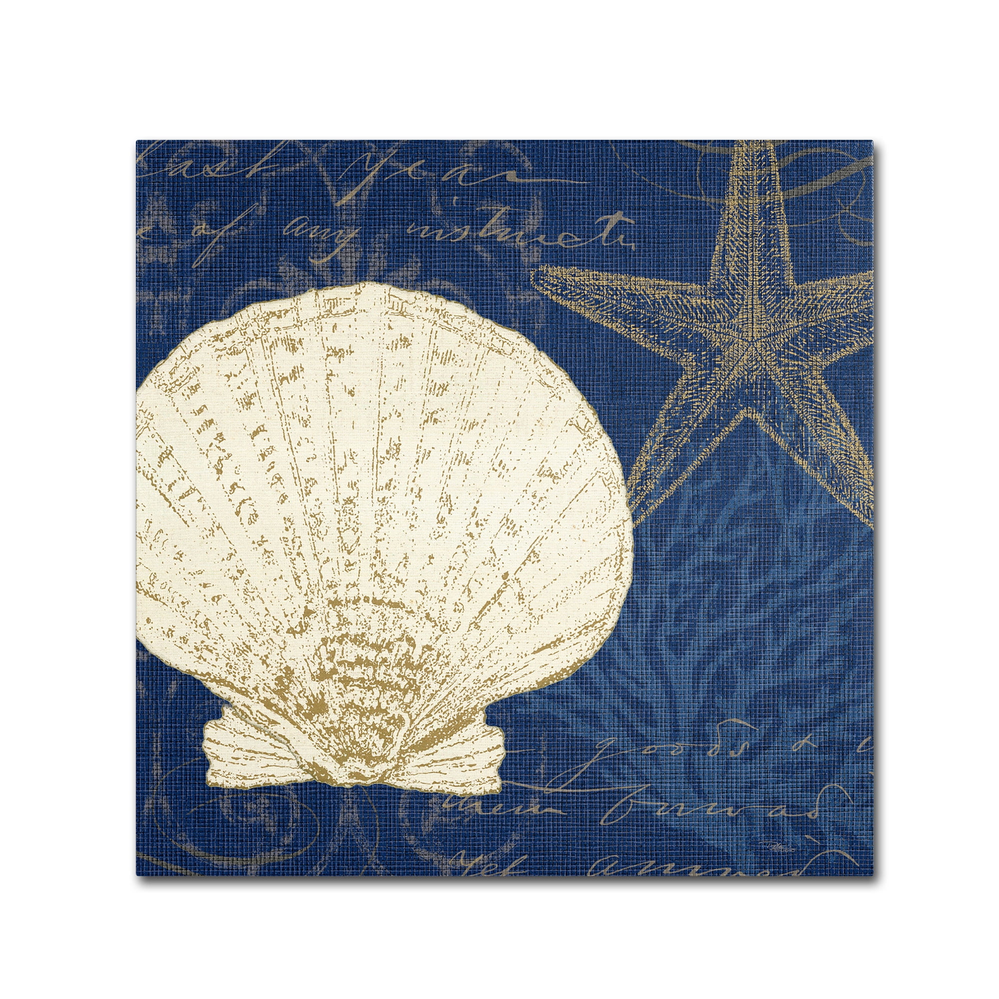 Trademark Fine Art "Coastal Moonlight II Teal" Canvas Art by Pela Studio