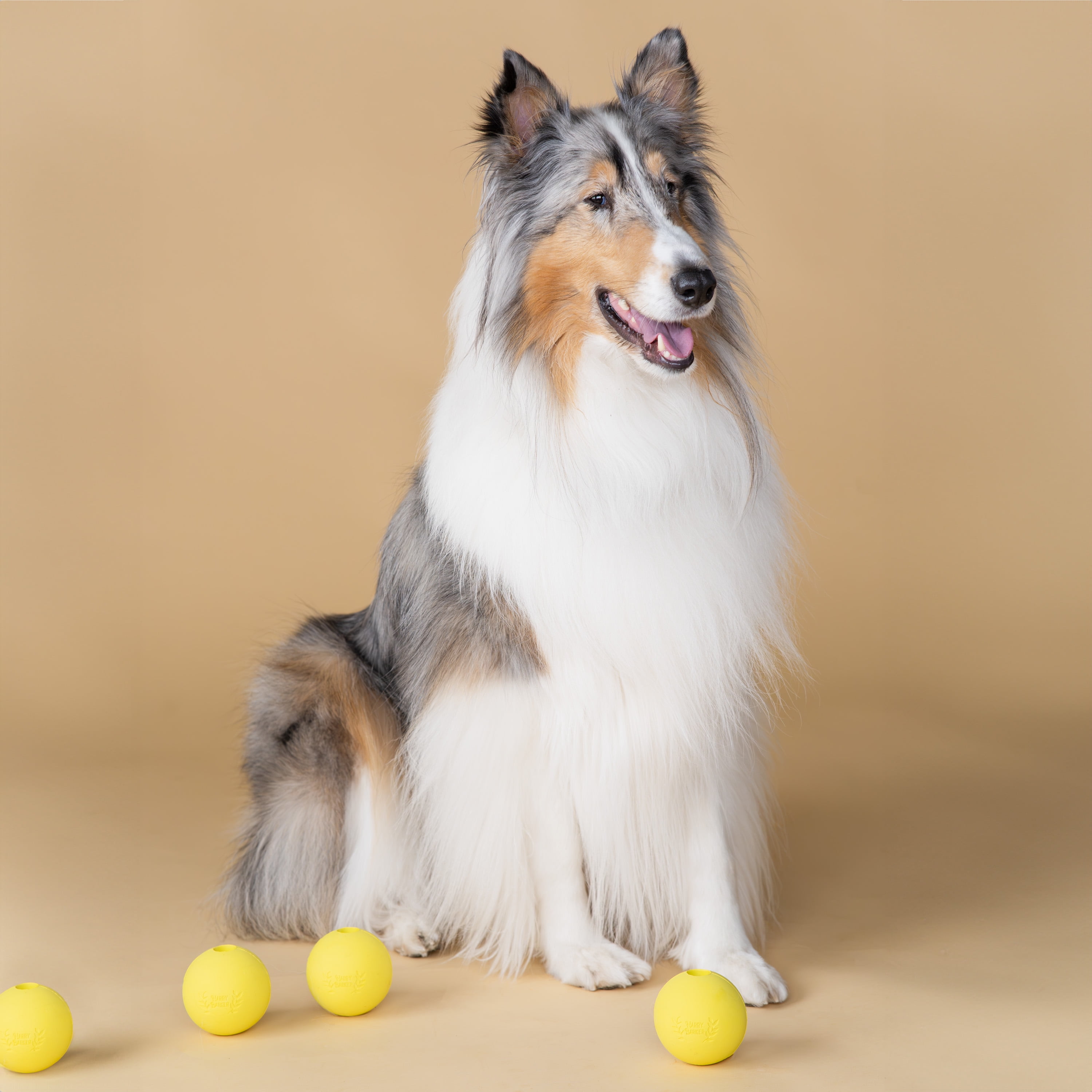 Harry Barker Durable All-Natural Rubber Balls for Dogs 3" Rubber Balls, Yellow, 4 Pack Set