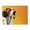 1000 Pieces, variant on 500 Piece Vibrant Pointer Dog Jigsaw Puzzle For Adults – Challenging, Relaxing Brain Exercise Wooden Game, Artistic Home Decor, Ideal Gift For Dog Lovers