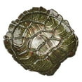 thumbnail image 1 of Coque de Tortue Grenade Rouge 6543-5 Bol Vert Or 19 Po., 1 of 1