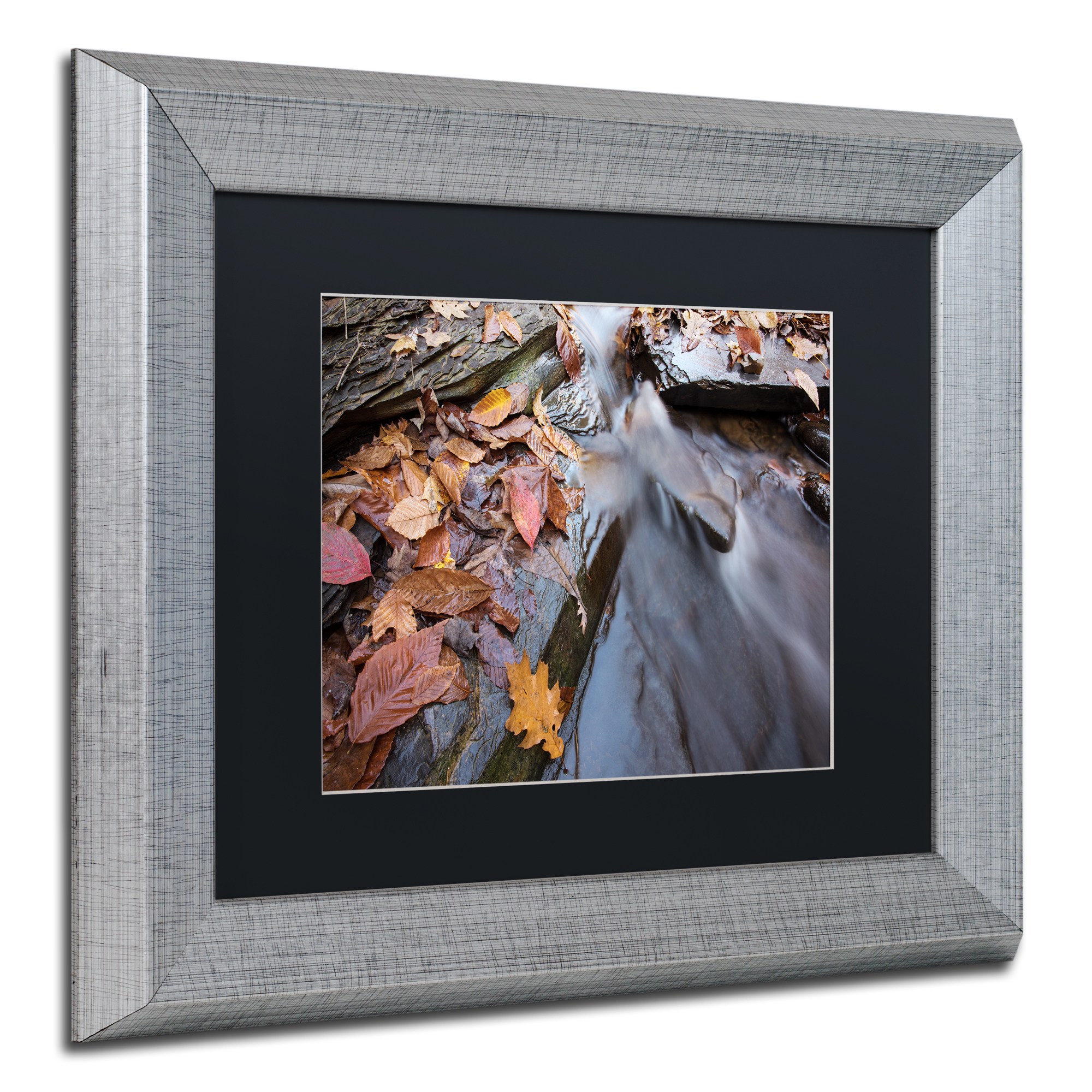Trademark Fine Art "Chance Creek 1" Canvas Art by Jason Shaffer, Black Matte, Silver Frame