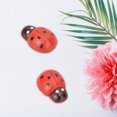 thumbnail image 3 of 100Pcs Mini Seven Star Ladybug Moss Micro Landscape Ornament Ornament Micro Landscape Fairy Garden Decor Decoration Craft Home Decor, 3 of 8