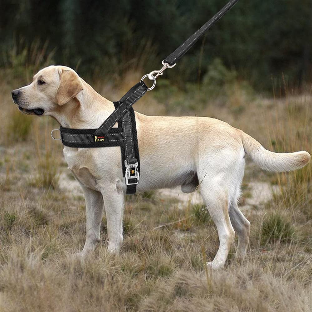 Plutus Pet No Pull Dog Harness with Breathable Mesh Padded, Adjustable Reflective Escape Proof Dog Harness, Quick Fit Dog Vest Harness for Small Medium Large Dogs(XS, Black)
