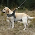 thumbnail image 3 of Plutus Pet No Pull Dog Harness with Breathable Mesh Padded, Adjustable Reflective Escape Proof Dog Harness, Quick Fit Dog Vest Harness for Small Medium Large Dogs(XS, Black), 3 of 6