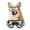 Clear, variant on PETLESO Dog Goggles Sunglasses Waterproof with Adjustable Strap for Medium to Large Dog-Clear