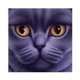 thumbnail image 1 of Cuadros Decorativos 5D DIY diamante pintura completo redondo taladro cara grande gato mosaico imagen Animal regalo JShteea Nuevos Originales, 1 of 5
