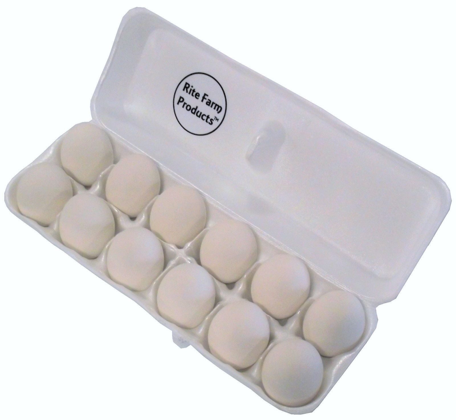 Dummy Hatching 10X CHICKEN EGGS Fake Pot CHICKEN / POULTRY / HENS-Plastic Egg 