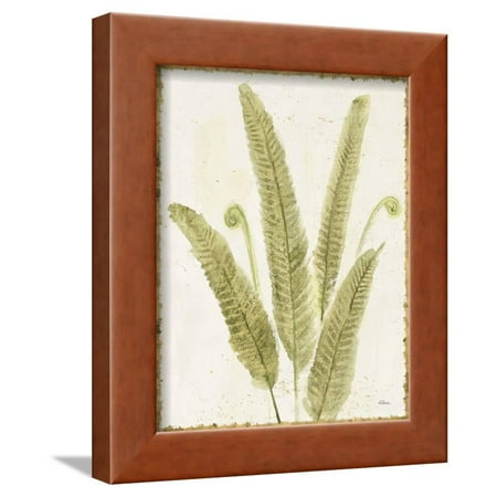 Fox V2 Print - Forest Ferns II v2 Antique Framed Print Wall Art