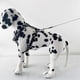 thumbnail image 4 of Spiked Studded Leather Puppy Dog Harness Vest for Small Breeds, 4 of 5