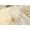 GOLD, variant on NEW ZEALAND SHEEPSKIN SEXTO RUG 5' X 6'