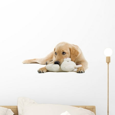 Just Golden Puppies Golden Retriever Puppy Wall Decal Sticker by Wallmonkeys Vinyl Peel and Stick Graphic (18 in W x 9 in H) ()