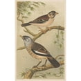 thumbnail image 2 of Theo van Hoytema 11x14 Gold Ornate Wood Frame and Double Matted Museum Art Print Titled - Two Birds on Branches (1878-1917), 2 of 4