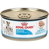 Royal Canin Starter Mousse Mother & Baby Dog Chicken Flavored Wet Dog Food, 5.8 oz (Case of 24)