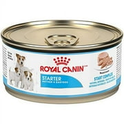 Royal Canin Starter Mousse Mother & Baby Dog Chicken Flavored Wet Dog Food, 5.8 oz (Case of 24)