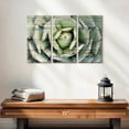 thumbnail image 2 of Elephant Stock Rustic Agave Wall Art - Horizontal Multi Panel Canvas - Living Room Wall Decor - Floral And Botanical Multi Panel - Blue And Brown Decor - 23" x 14", 2 of 4