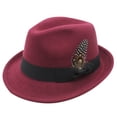 thumbnail image 3 of Straw Cowboy Hat For Men - Explore Stylish Cowboy Hats For Men Thick Wool Fedora With Feather For Outdoor Leisure,Red,M, 3 of 3