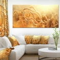 thumbnail image 1 of Gros Plan sur les Oreilles de Blé Doré - Grand Paysage sur Toile, 1 of 3