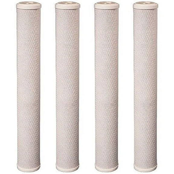 20"X2.5" Whole House Water Filter CTO Carbon Block fit a Standard Filter Housing by CFS