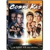 Cobra Kai - Season 4 (DVD Sony Pictures)