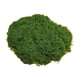 thumbnail image 1 of SGACAI Plantas verdes artificiales, césped de musgo de poliéster para el hogar, sala de estar, jardín, 2024, artesanías de césped, decoración de paisajes falsos, plantas de musgo, macetas, plantas, 1 of 7