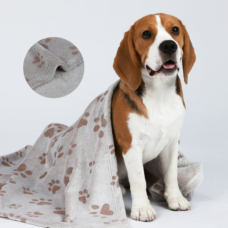 Puppy sales scent blanket