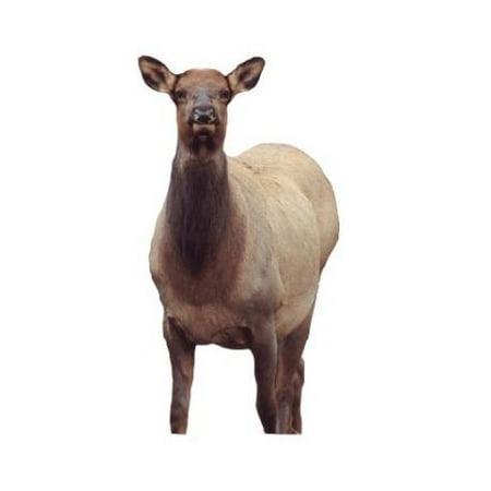 Montana Decoy Co. Eichler Elk Decoy, Brown