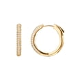 thumbnail image 1 of Pendientes tipo argolla PAVOI de plata de ley 925 chapados en oro de 14 quilates, 1 of 5