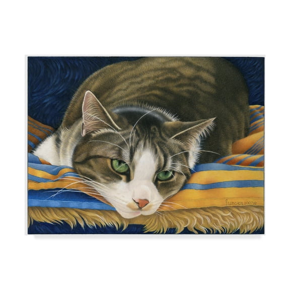 Trademark Fine Art 'A Gray Cat On Blanket' Canvas Art by Francien Van Westering